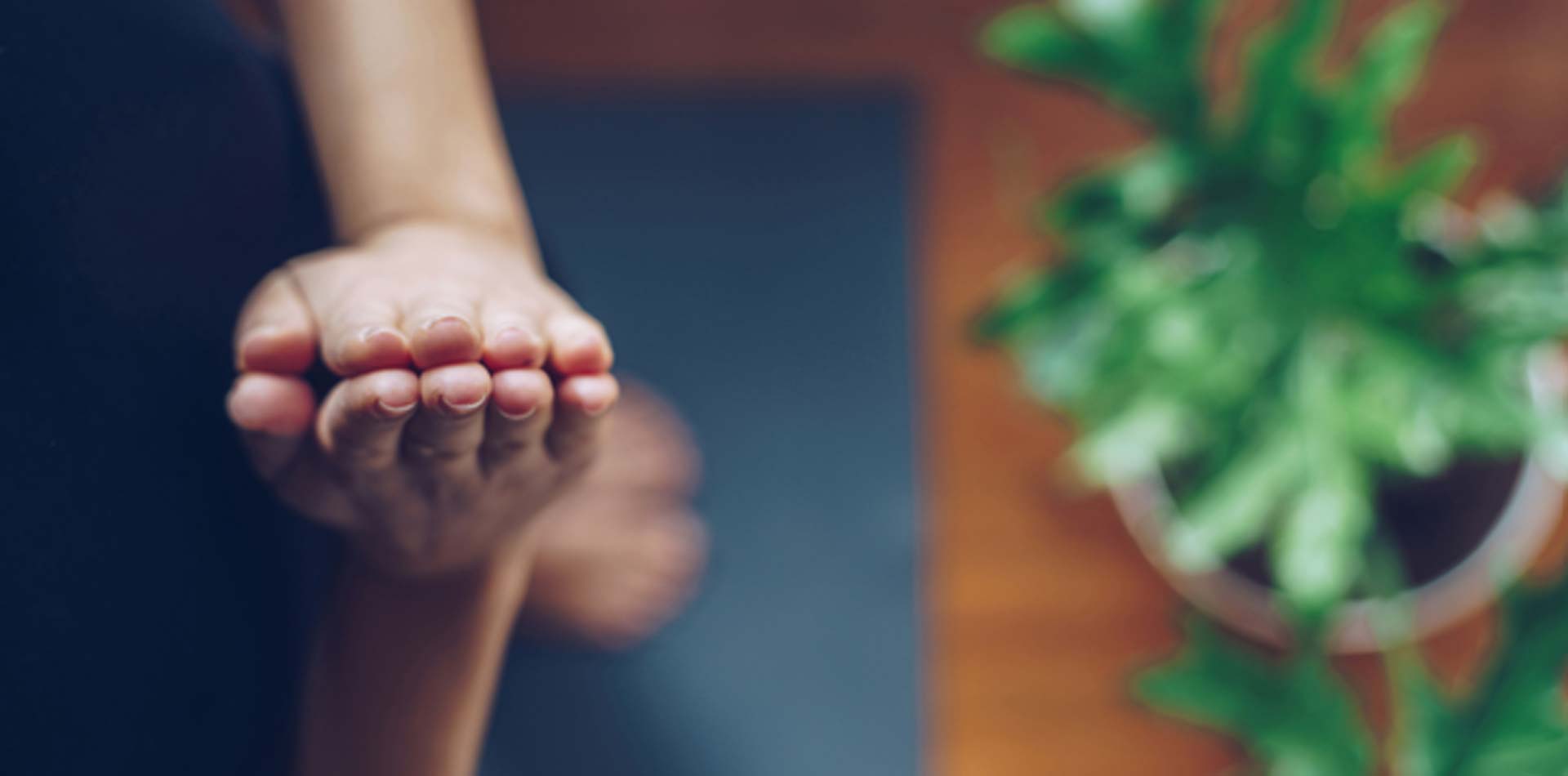contact-banner withinwellness
